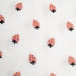 Fragole